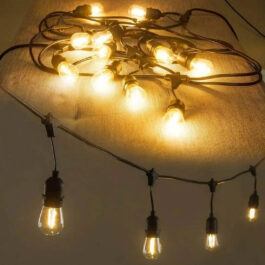 10 LED Bulb String Lights